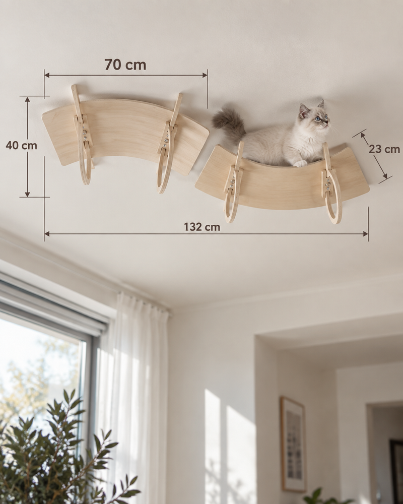 Variante · Option 2 — arbre à chat plafond bois