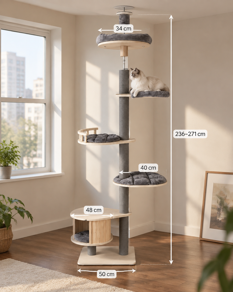 Photo · 6 — arbre a chat plafond design